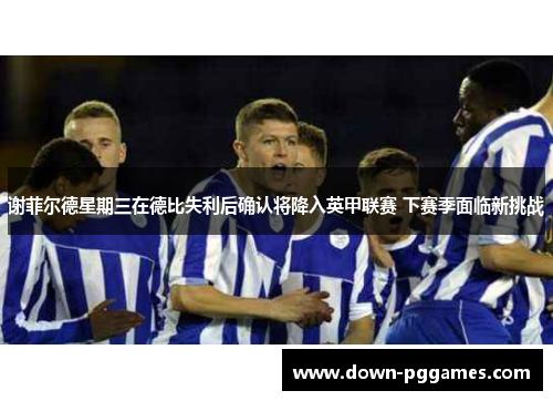 谢菲尔德星期三在德比失利后确认将降入英甲联赛 下赛季面临新挑战 谢菲尔德星期三在德比失利后确认将降入英甲联赛 下赛季面临新挑战