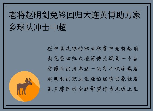 老将赵明剑免签回归大连英博助力家乡球队冲击中超